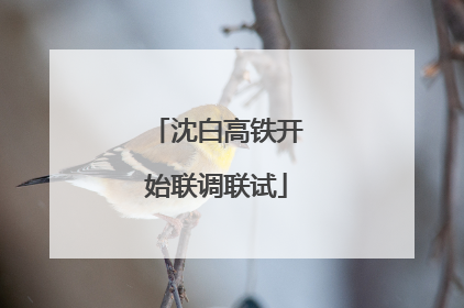 沈白高铁开始联调联试