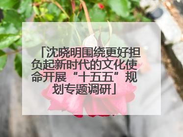 沈晓明围绕更好担负起新时代的文化使命开展“十五五”规划专题调研
