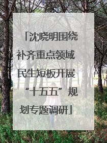 沈晓明围绕补齐重点领域民生短板开展“十五五”规划专题调研