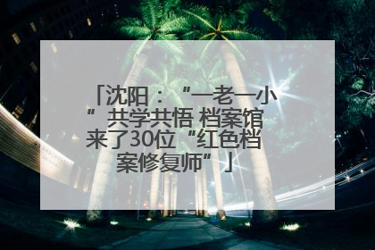 沈阳：“一老一小”共学共悟 档案馆来了30位“红色档案修复师”