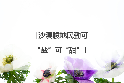 沙漠腹地民勤可“盐”可“甜”