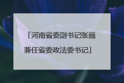 河南省委副书记张巍兼任省委政法委书记