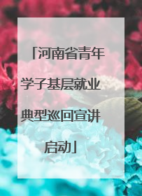 河南省青年学子基层就业典型巡回宣讲启动