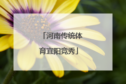 河南传统体育宜阳竞秀