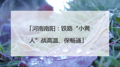 河南南阳：铁路“小黄人”战高温、保畅通