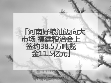 河南好粮油迈向大市场 福建粮洽会上签约38.5万吨揽金11.5亿元
