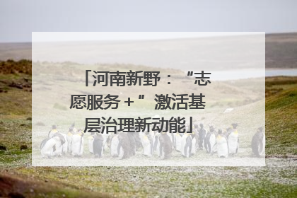 河南新野：“志愿服务＋”激活基层治理新动能