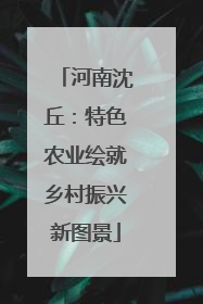 河南沈丘：特色农业绘就乡村振兴新图景
