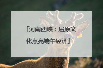河南西峡：屈原文化点亮端午经济