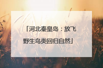 河北秦皇岛：放飞野生鸟类回归自然
