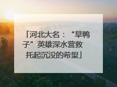 河北大名：“旱鸭子”英雄深水营救 托起沉没的希望