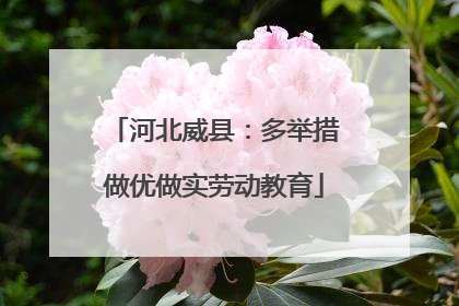 河北威县：多举措做优做实劳动教育