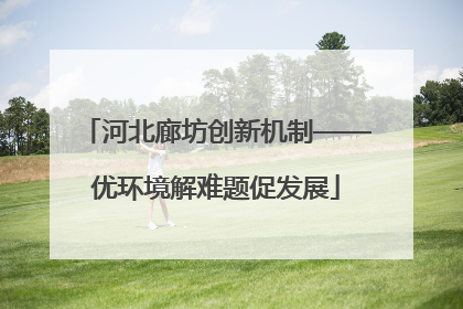 河北廊坊创新机制——优环境解难题促发展