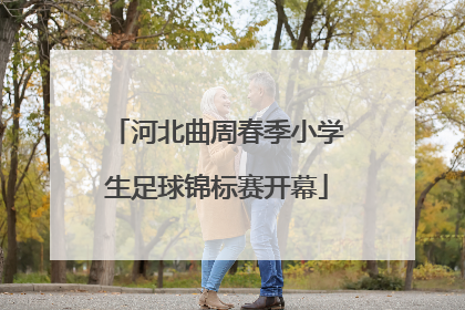 河北曲周春季小学生足球锦标赛开幕