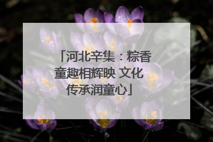 河北辛集：粽香童趣相辉映 文化传承润童心