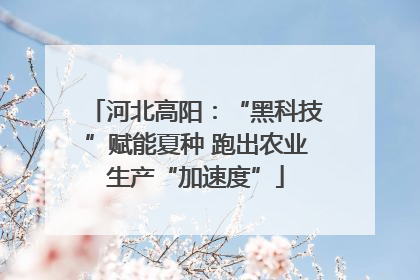 河北高阳：“黑科技”赋能夏种 跑出农业生产“加速度”