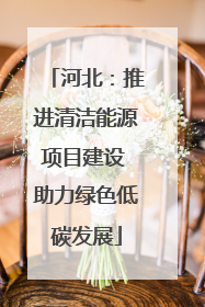 河北：推进清洁能源项目建设 助力绿色低碳发展