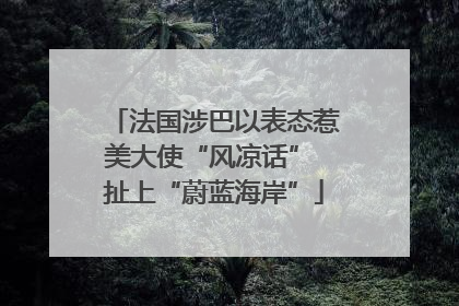 法国涉巴以表态惹美大使“风凉话” 扯上“蔚蓝海岸”