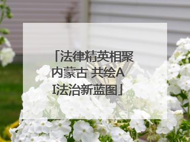 法律精英相聚内蒙古 共绘AI法治新蓝图