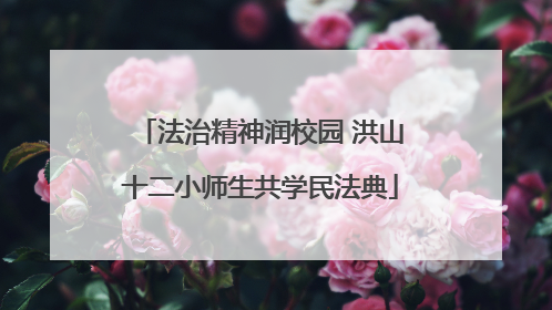 法治精神润校园 洪山十二小师生共学民法典