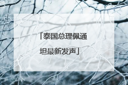 泰国总理佩通坦最新发声