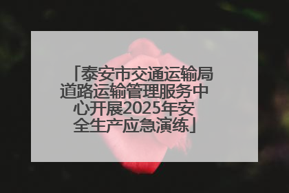 泰安市交通运输局道路运输管理服务中心开展2025年安全生产应急演练