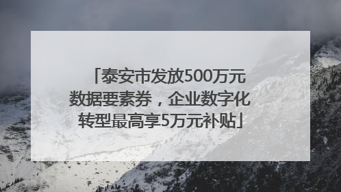 泰安市发放500万元数据要素券，企业数字化转型最高享5万元补贴