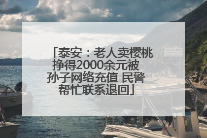泰安：老人卖樱桃挣得2000余元被孙子网络充值 民警帮忙联系退回