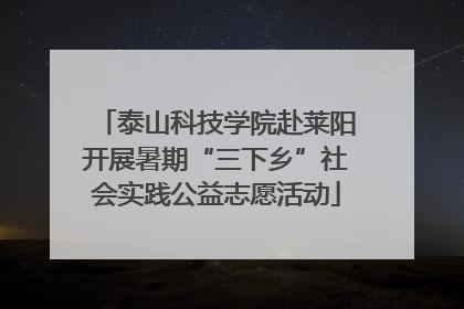 泰山科技学院赴莱阳开展暑期“三下乡”社会实践公益志愿活动