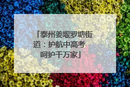 泰州姜堰罗塘街道：护航中高考 呵护千万家