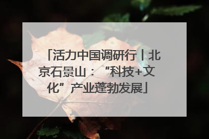 活力中国调研行丨北京石景山：“科技+文化”产业蓬勃发展