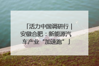 活力中国调研行｜安徽合肥：新能源汽车产业“加速跑”