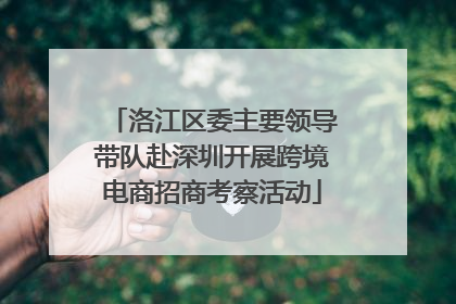 洛江区委主要领导带队赴深圳开展跨境电商招商考察活动