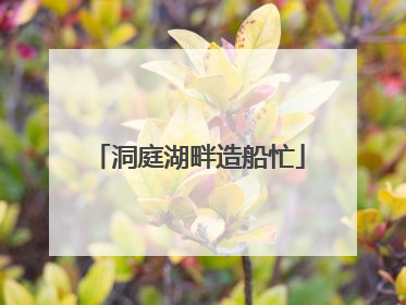 洞庭湖畔造船忙