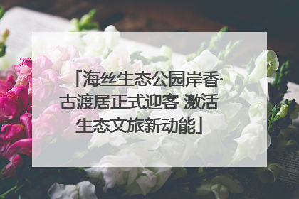 海丝生态公园岸香·古渡居正式迎客 激活生态文旅新动能