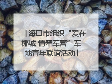 海口市组织“爱在椰城 情牵军营”军地青年联谊活动