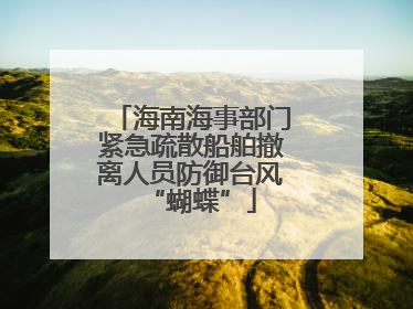 海南海事部门紧急疏散船舶撤离人员防御台风“蝴蝶”
