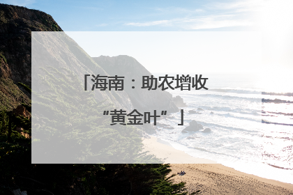 海南：助农增收 “黄金叶”