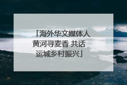 海外华文媒体人黄河寻麦香 共话运城乡村振兴