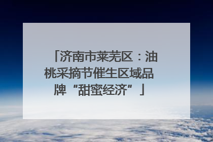 济南市莱芜区：油桃采摘节催生区域品牌“甜蜜经济”