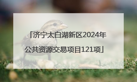 济宁太白湖新区2024年公共资源交易项目121项