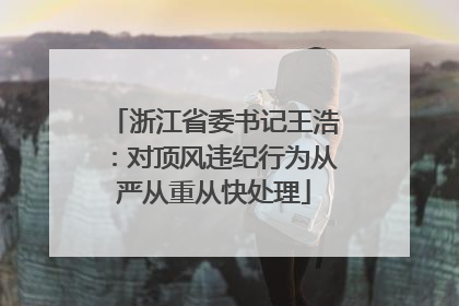 浙江省委书记王浩：对顶风违纪行为从严从重从快处理