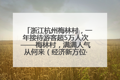 浙江杭州梅林村，一年接待游客超5万人次——梅林村，满满人气从何来（经济新方位·农村消费观察）