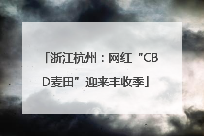 浙江杭州：网红“CBD麦田”迎来丰收季