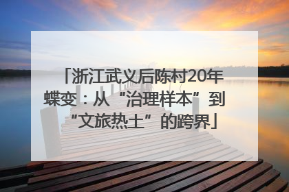浙江武义后陈村20年蝶变：从“治理样本”到“文旅热土”的跨界