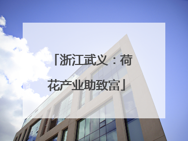 浙江武义：荷花产业助致富