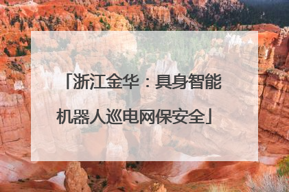 浙江金华：具身智能机器人巡电网保安全