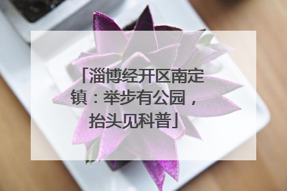 淄博经开区南定镇：举步有公园，抬头见科普