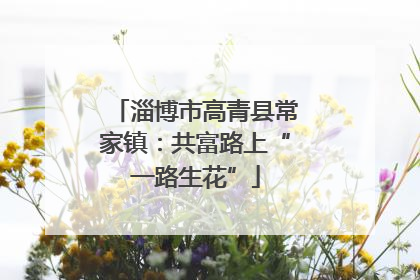 淄博市高青县常家镇：共富路上“一路生花”