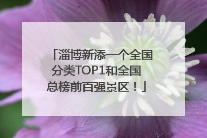 淄博新添一个全国分类TOP1和全国总榜前百强景区！